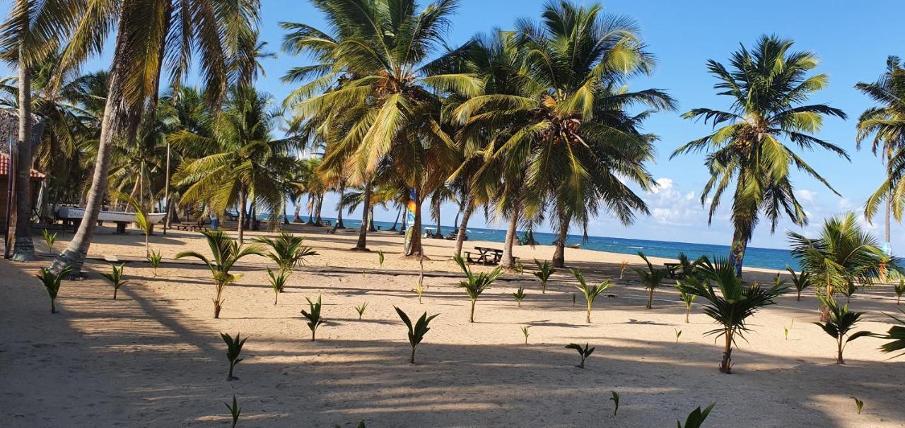 Puntacana Ecolodge Lavacama Beach Costa Arrecife By Aa Crypto Group Punta Cana Kültér fotó