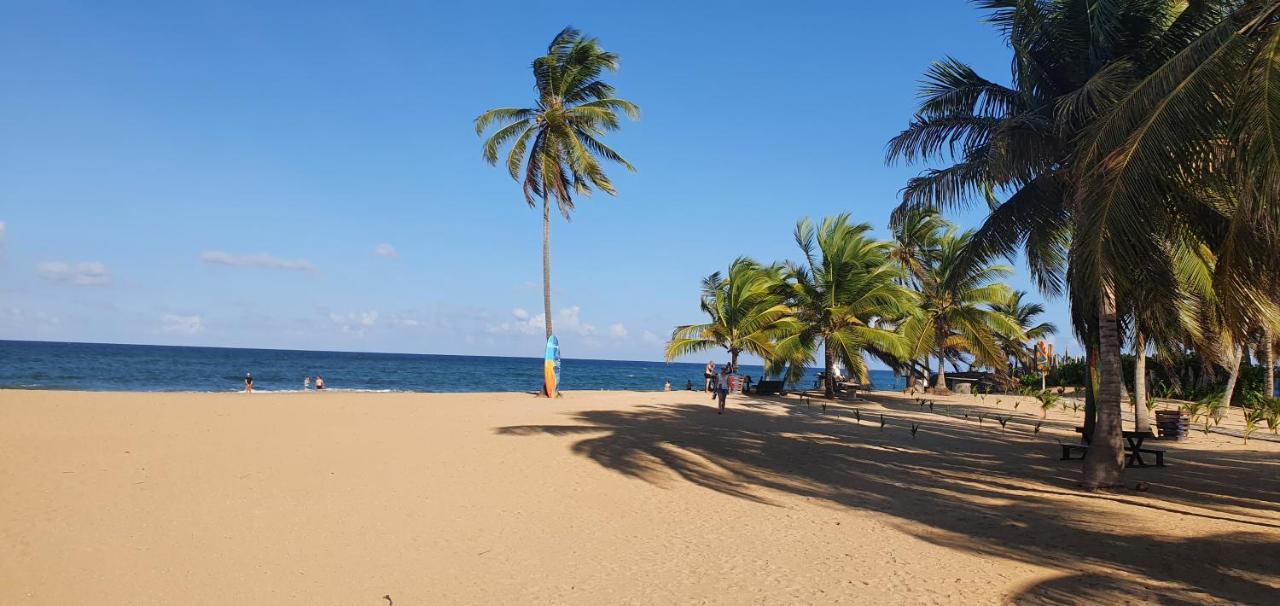 Puntacana Ecolodge Lavacama Beach Costa Arrecife By Aa Crypto Group Punta Cana Kültér fotó