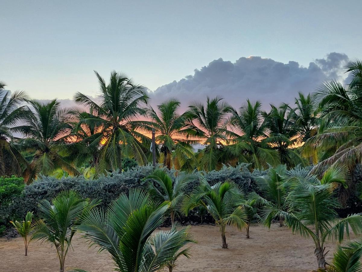 Puntacana Ecolodge Lavacama Beach Costa Arrecife By Aa Crypto Group Punta Cana Kültér fotó