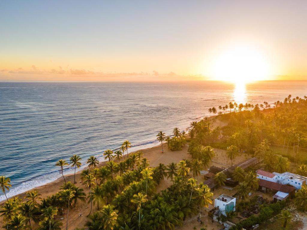 Puntacana Ecolodge Lavacama Beach Costa Arrecife By Aa Crypto Group Punta Cana Kültér fotó