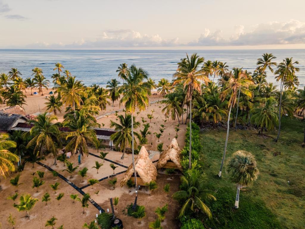 Puntacana Ecolodge Lavacama Beach Costa Arrecife By Aa Crypto Group Punta Cana Kültér fotó