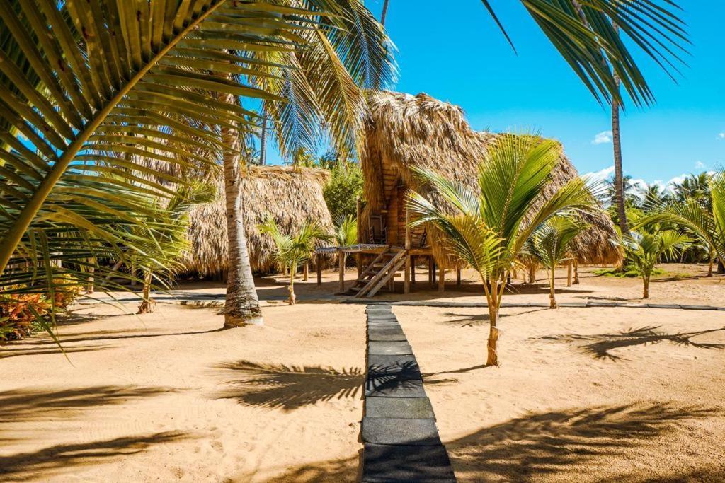 Puntacana Ecolodge Lavacama Beach Costa Arrecife By Aa Crypto Group Punta Cana Kültér fotó