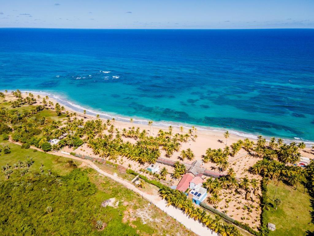 Puntacana Ecolodge Lavacama Beach Costa Arrecife By Aa Crypto Group Punta Cana Kültér fotó
